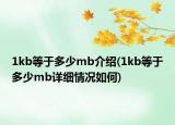 1kb等于多少mb介绍(1kb等于多少mb详细情况如何)