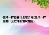 像风一样自由什么歌介绍(像风一样自由什么歌详细情况如何)