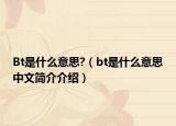 Bt是什么意思?（bt是什么意思中文简介介绍）