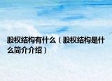 股权结构有什么（股权结构是什么简介介绍）
