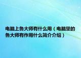 电脑上鲁大师有什么用（电脑里的鲁大师有作用什么简介介绍）