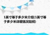 1英寸等于多少米介绍(1英寸等于多少米详细情况如何)