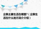 企鹅主要生活在哪里?（企鹅生活在什么地方简介介绍）