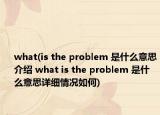 what(is the problem 是什么意思介绍 what is the problem 是什么意思详细情况如何)