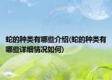 蛇的种类有哪些介绍(蛇的种类有哪些详细情况如何)