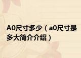 A0尺寸多少（a0尺寸是多大简介介绍）