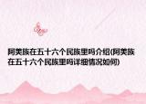 阿美族在五十六个民族里吗介绍(阿美族在五十六个民族里吗详细情况如何)