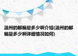 温州的邮编是多少啊介绍(温州的邮编是多少啊详细情况如何)