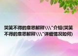 哭笑不得的意思解释\