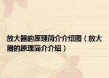 放大器的原理简介介绍图（放大器的原理简介介绍）