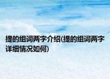 提的组词两字介绍(提的组词两字详细情况如何)