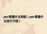 ppr管是什么样的（ppr管是什么简介介绍）