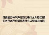 鹦鹉的各种叫声分别代表什么介绍(鹦鹉的各种叫声分别代表什么详细情况如何)