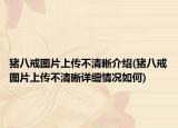 猪八戒图片上传不清晰介绍(猪八戒图片上传不清晰详细情况如何)