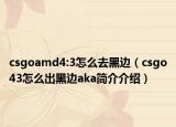 csgoamd4:3怎么去黑边（csgo43怎么出黑边aka简介介绍）