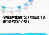 你知道蜱虫是什么（蜱虫是什么 蜱虫介绍简介介绍）