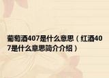 葡萄酒407是什么意思（红酒407是什么意思简介介绍）