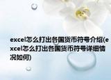 excel怎么打出各国货币符号介绍(excel怎么打出各国货币符号详细情况如何)