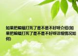 如果把蝙蝠打死了是不是不好呀介绍(如果把蝙蝠打死了是不是不好呀详细情况如何)
