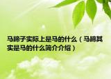 马蹄子实际上是马的什么（马蹄其实是马的什么简介介绍）