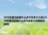 1978年属马的是什么命今年多大介绍(1978年属马的是什么命今年多大详细情况如何)