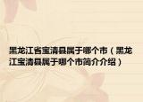 黑龙江省宝清县属于哪个市（黑龙江宝清县属于哪个市简介介绍）