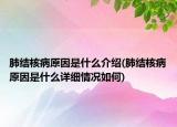 肺结核病原因是什么介绍(肺结核病原因是什么详细情况如何)