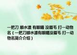 一把刀 顺水漂 有眼睛 没眉毛 打一动物名（一把刀顺水漂有眼睛没眉毛 打一动物名简介介绍）