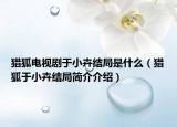 猎狐电视剧于小卉结局是什么（猎狐于小卉结局简介介绍）