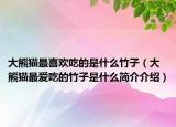 大熊猫最喜欢吃的是什么竹子（大熊猫最爱吃的竹子是什么简介介绍）