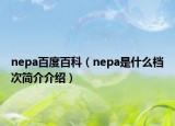nepa百度百科（nepa是什么档次简介介绍）