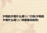夕阳的夕组什么词\