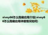 vivoy66怎么隐藏应用介绍(vivoy66怎么隐藏应用详细情况如何)