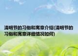 清明节的习俗和寓意介绍(清明节的习俗和寓意详细情况如何)