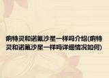 痢特灵和诺氟沙星一样吗介绍(痢特灵和诺氟沙星一样吗详细情况如何)