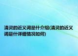 清灵的近义词是什介绍(清灵的近义词是什详细情况如何)