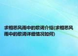 求相思风雨中的歌词介绍(求相思风雨中的歌词详细情况如何)