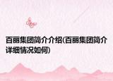 百丽集团简介介绍(百丽集团简介详细情况如何)
