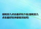 胡桃里几点去最好玩介绍(胡桃里几点去最好玩详细情况如何)