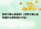 悠悠寸草心啥意思?（悠悠寸草心这句话什么意思简介介绍）