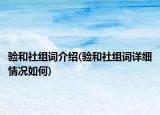 验和社组词介绍(验和社组词详细情况如何)
