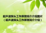 超声波探头工作原理简介介绍图片（超声波探头工作原理简介介绍）
