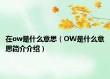 在ow是什么意思（OW是什么意思简介介绍）