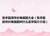 张丰毅演市长电视剧大全（张丰毅的市长电视剧叫什么名字简介介绍）