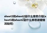 sheet1和sheet2是什么意思介绍(sheet1和sheet2是什么意思详细情况如何)