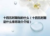 十四五时期指的什么（十四五时期是什么意思简介介绍）