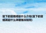 留下的留组词是什么介绍(留下的留组词是什么详细情况如何)