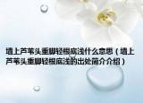 墙上芦苇头重脚轻根底浅什么意思（墙上芦苇头重脚轻根底浅的出处简介介绍）