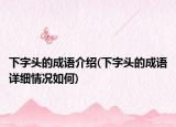 下字头的成语介绍(下字头的成语详细情况如何)