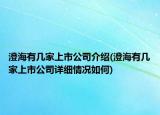 澄海有几家上市公司介绍(澄海有几家上市公司详细情况如何)